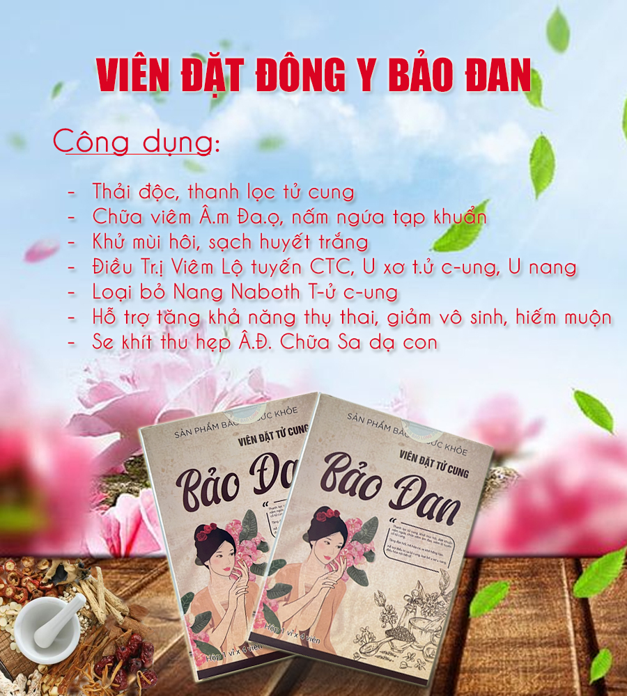 vien dat bao dan