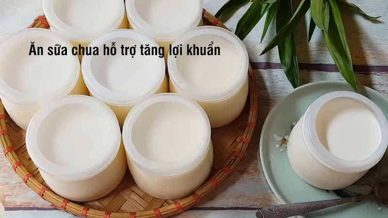 sữa chua tăng lợi khuẩn