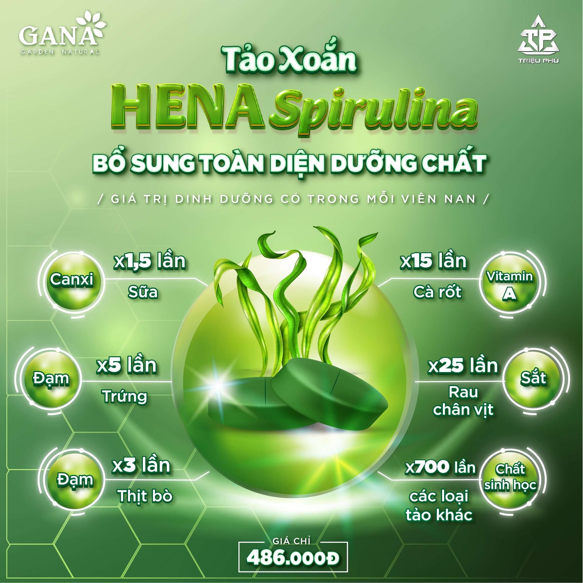 tảo xoắn Spirulina